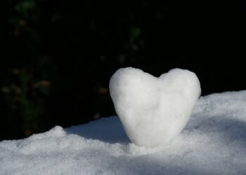 New Storage Method Promises Longer Donor Heart Lifespan