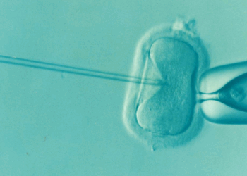 Experts Reveal Ancient Practice To Reduce IVF Side Effects