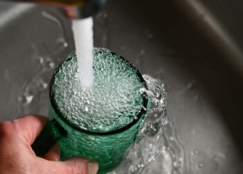 Doctors Warn Sinus Rinse With Tap Water Can Kill