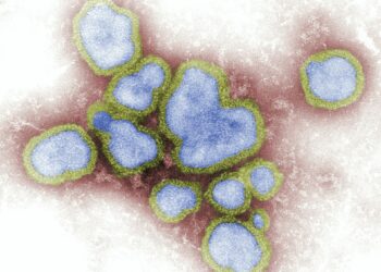 The Hidden Side Effect Of Autoimmune Diseases