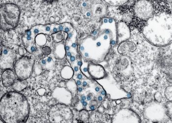 New COVID Strain Dominates A Third Of U.S. Infections