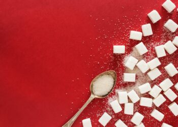 What Is The Process Of Making Glucose From Fat Called?