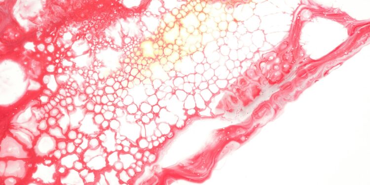 What Amino Acid Helps Produce Nitric Oxide For Vessel Dilation?