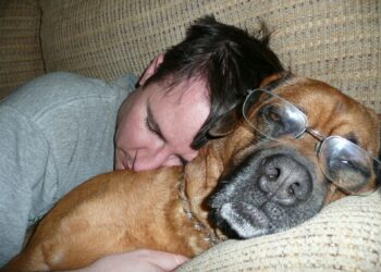 Shocking Link Found Between Napping And Early Death