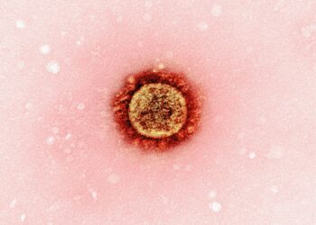 Breakthrough HIV Shot Could End Transmission