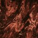 What Is The Primary Function Of Brown Adipose Tissue In Humans?