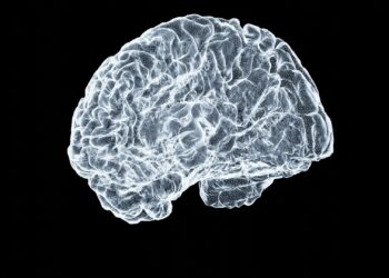 Which Brain Region Controls Circadian Rhythms Via Light?