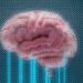 The Hidden Key To Long-Lasting Brain Power