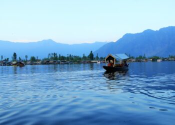 What Is The Significance Of The Term “Blue Zones” In The Context Of Longevity?