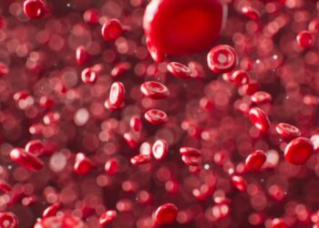 What Is The Primary Function Of Red Blood Cells In The Body?
