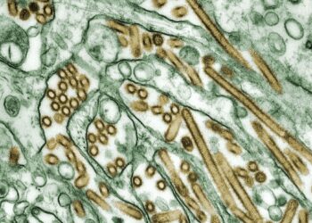 Norovirus Outbreak Infects 240 Americans