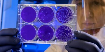 Unraveling The New Bacterial Outbreak 