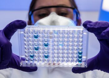 CDC Issues Warning To Prevent Contracting Salmonella