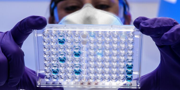 CDC Issues Warning To Prevent Contracting Salmonella