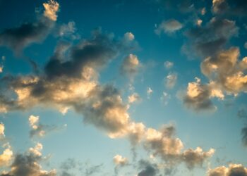 Daydreaming Found To Fuel Brain Adaptability And Memory Strength