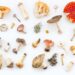 Mushrooms Found To Mitigate Depression Symptoms