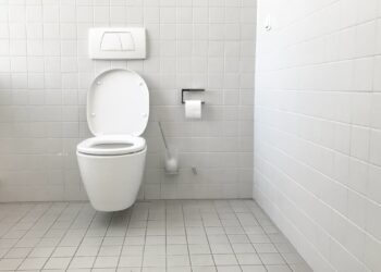 The Surprising Reality Behind How Often You Should Poop