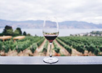 Experts Explain Difference Between Natural And Regular Wine