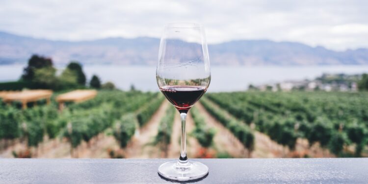 Experts Explain Difference Between Natural And Regular Wine