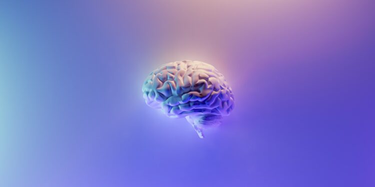 Which Nutrient Has Been Linked To Brain Health And Cognitive Longevity?