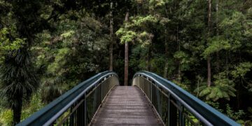 Unveiling Nature’s Influence On Productivity In Design