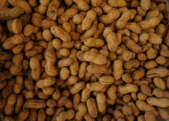 Revolutionary Treatment Offers Relief To Children Battling Food Allergies