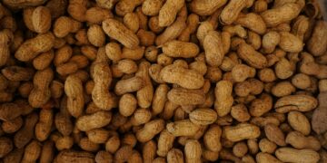 Revolutionary Treatment Offers Relief To Children Battling Food Allergies