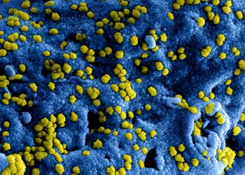 State Officials Alleviate Concerns After Bacteria Scare