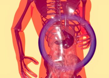 Microbiome Changes Linked To Artificial Sweeteners