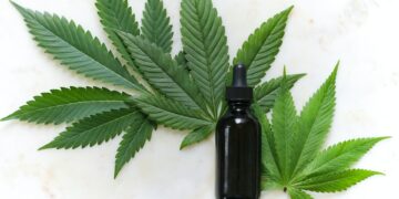 Scientific Insights On How Regular Cannabis Use May Impact Asthma