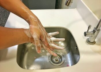 What Is The Primary Function Of The Immune System In The Body?