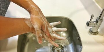 What Is The Primary Function Of The Immune System In The Body?