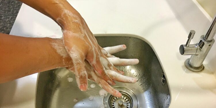 What Is The Primary Function Of The Immune System In The Body?