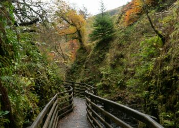 How Many Taste Buds Does The Average Human Tongue Have?