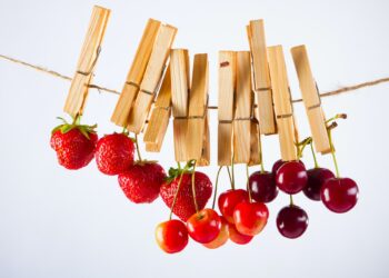 What Is The Primary Function Of Antioxidants In The Body?