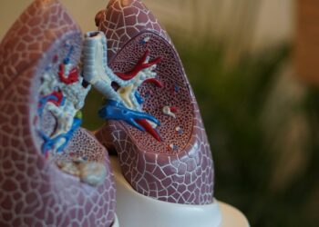 New Findings Hint At A Potential Link To Aggravated COPD
