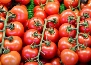Manage High Blood Pressure With Tomatoes