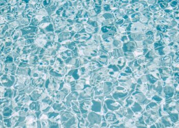 Which Of The Following Is A Water-Soluble Vitamin?