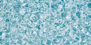 Which Of The Following Is A Water-Soluble Vitamin?