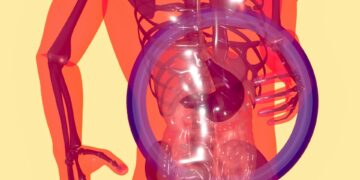 What Is The Term For The Process Of Breaking Down Food Into Smaller Molecules For Absorption?