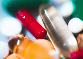 Which Of The Following Foods Is A Good Source Of Probiotics?