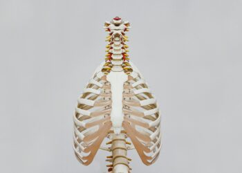 Which Activity Is Known To Improve Cardiovascular Health?