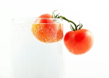 Tomato Juice Emerges As Typhoid Bacteria’s Nemesis