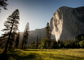 Living Close To Nature Could Be the Key To Unbreakable Bones