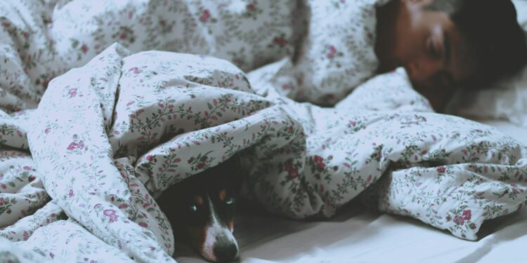 Sleep Apnea Damages Your Brain Functions