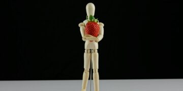 What Is The Term For The Body’s Ability To Maintain A Stable Internal Environment Despite External Fluctuations?