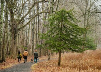 Tiny Daily Workouts Slashes Stroke Risk