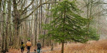 Tiny Daily Workouts Slashes Stroke Risk