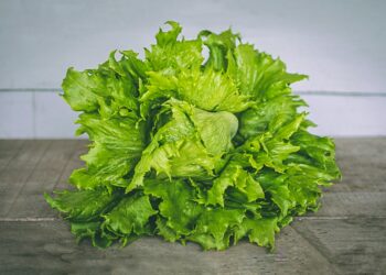 The One Leafy Green You Must Refrigerate Immediately