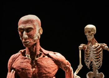 What Is The Term For The Process By Which The Body Breaks Down Carbohydrates Into Glucose For Energy Production?